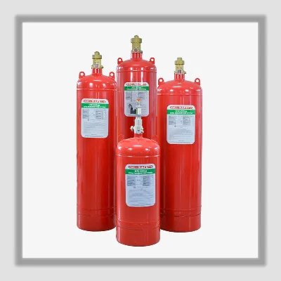 FM200 Total Flood System